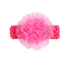 Baby Hair Band Chiffon Flower Lace Elastic - Mixed