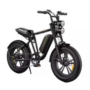 Engwe M20 Electric Bike 25 kmh Dual Suspension Single