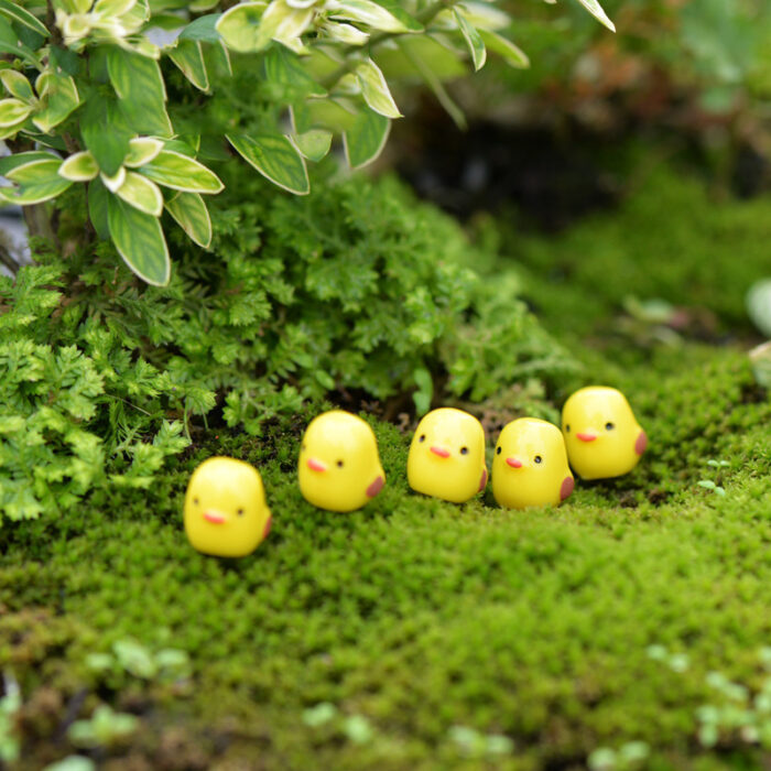 Moss-Micro-Landscape-Decoration-Decoration-Mixed-4 Moss-Micro-Landscape-Decoration-Decoration-Mixed-4
