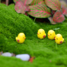Moss-Micro-Landscape-Decoration-Decoration-Mixed-5