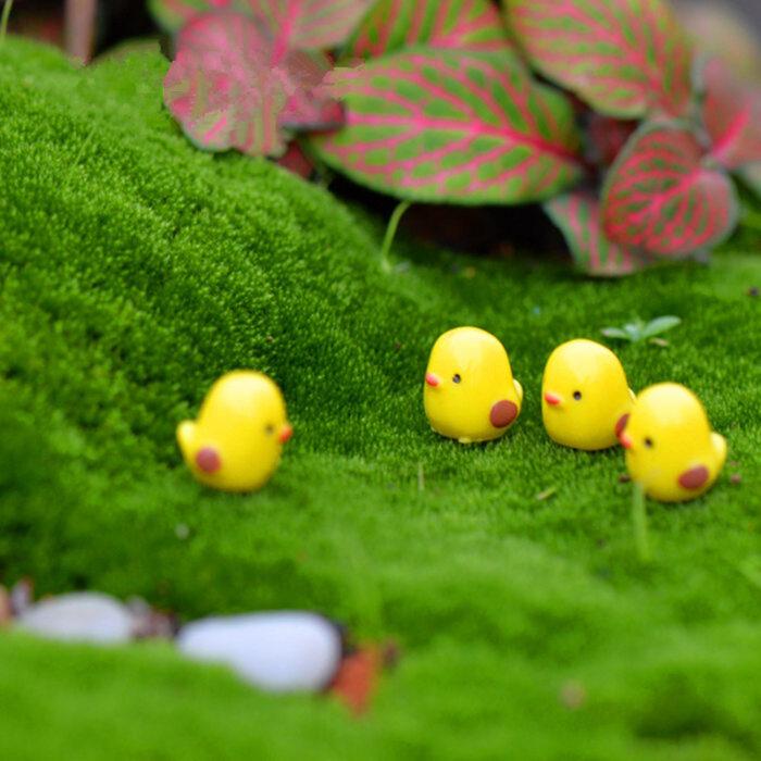 Moss-Micro-Landscape-Decoration-Decoration-Mixed-5 Moss-Micro-Landscape-Decoration-Decoration-Mixed-5