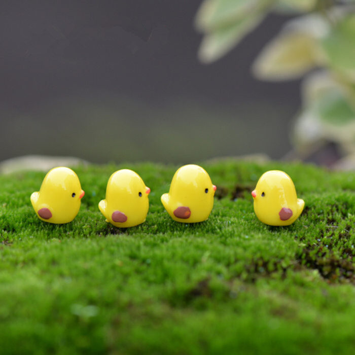 Moss-Micro-Landscape-Decoration-Decoration-Mixed-6 Moss-Micro-Landscape-Decoration-Decoration-Mixed-6