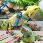 Pet-Supplies-Outdoor-Portable-Walking-Adjustable-Mixed-10