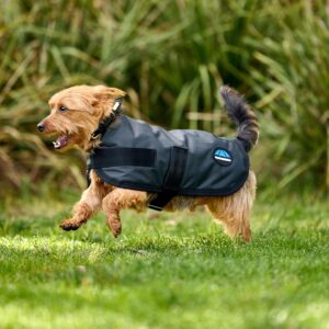 WeatherBeeta ComFiTec Classic Waterproof Dog Coat