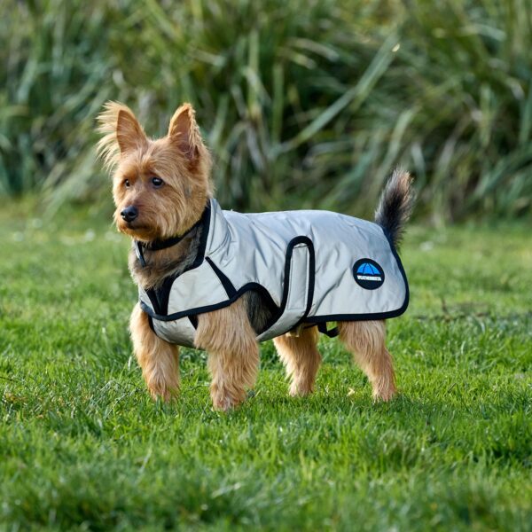 WeatherBeeta ComFiTec Classic Waterproof Dog Coat