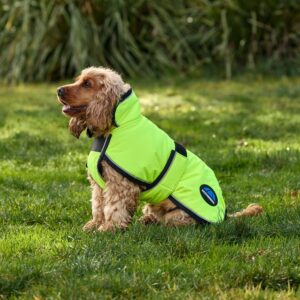 WeatherBeeta ComFiTec Classic Waterproof Dog Coat