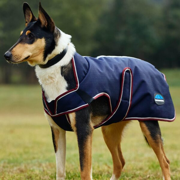 WeatherBeeta ComFiTec Premier Deluxe Waterproof Dog Coat